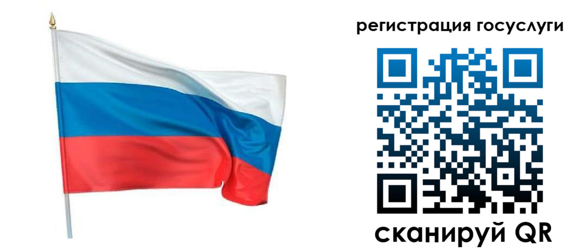 прописка паспорт в Курской области
