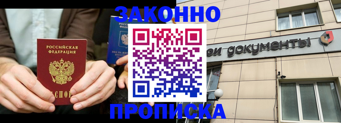 прописка поиск в Курской области